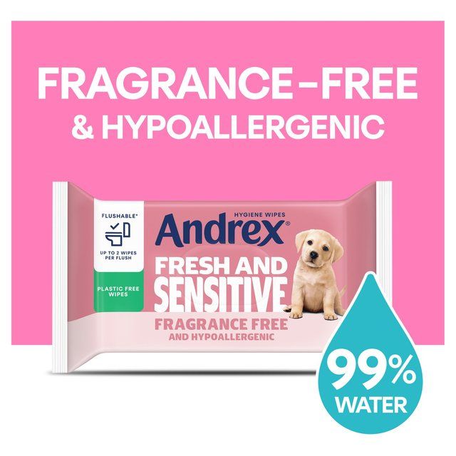 Andrex Hygiene Wipes Fresh and Sensitive Single Pack 30 per pack - McGrocer