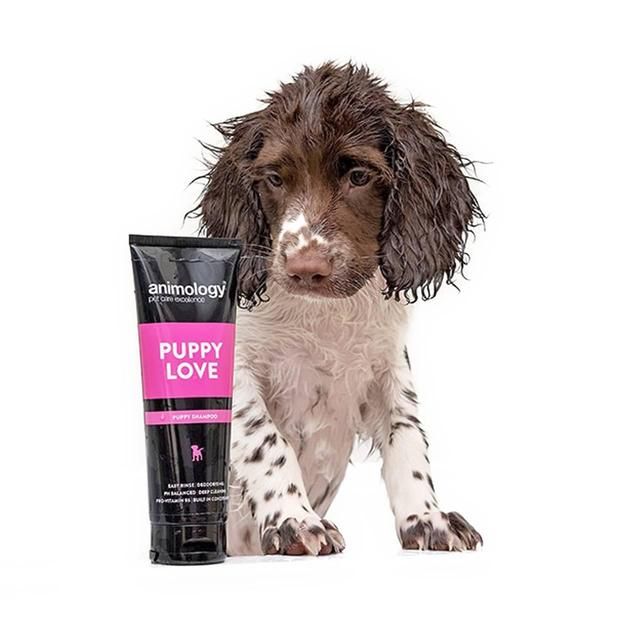 Animology Puppy Love Shampoo 250ml - McGrocer
