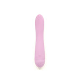 Ann Summers Sleek Rechargeable G-spot Vibe Pink - McGrocer
