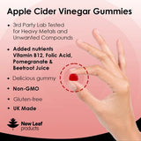 Apple Cider Vinegar, 30 Vegan Gummies + Vitamin B12 Folate - McGrocer