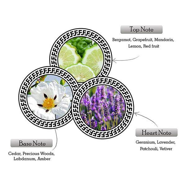 ARMAF Ventana Pour Homme Eau De Parfum 100ml - McGrocer