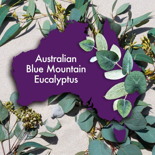 Aussie Mega Conditioner 200ml - McGrocer