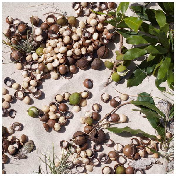 Aussie Miracle Moist Shampoo Moisturising Shampoo 90ml - McGrocer