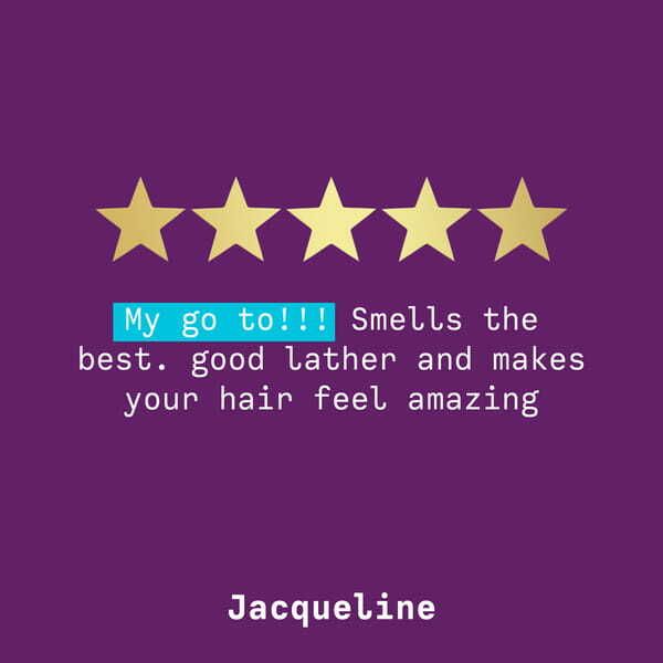 Aussie Shampoo Miracle Moist For Dry and Frizzy Hair 300ml - McGrocer