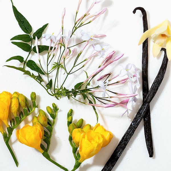 Avon Far Away Eau De Parfum 50ml - McGrocer