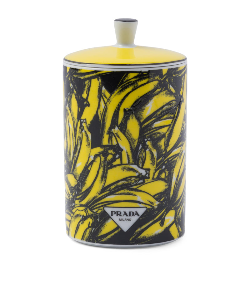 Prada Porcelain Seringàt Candle Jasmine Magnolia 250g, imported from the UK