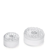 Lalique Crystal Dahlia Jewellery Box