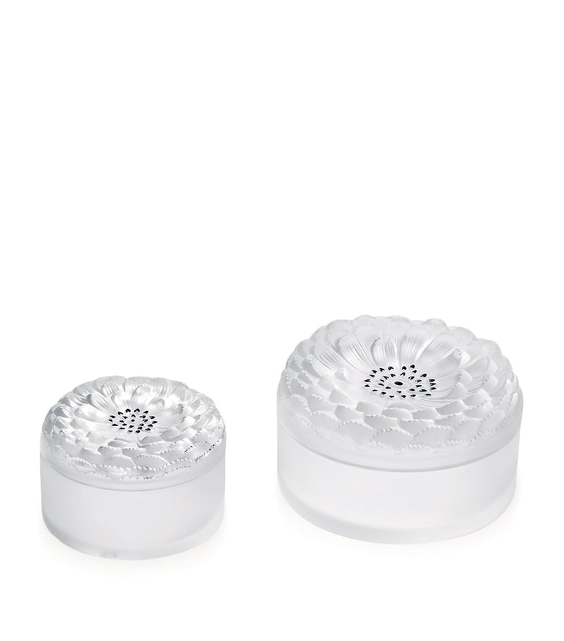 Lalique Crystal Dahlia jewellery box, UK version