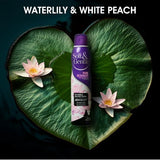 DNR soft and gentle invisible deodorant spray, UK version