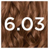 Garnier Nutrisse Creme Brown 4.13 permanent hair dye, UK version