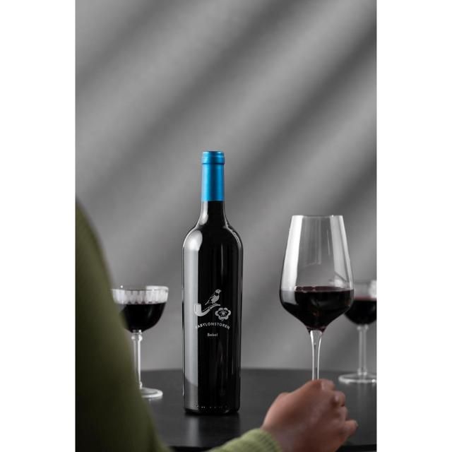 Babylonstoren Babel Red Blend 75cl - McGrocer