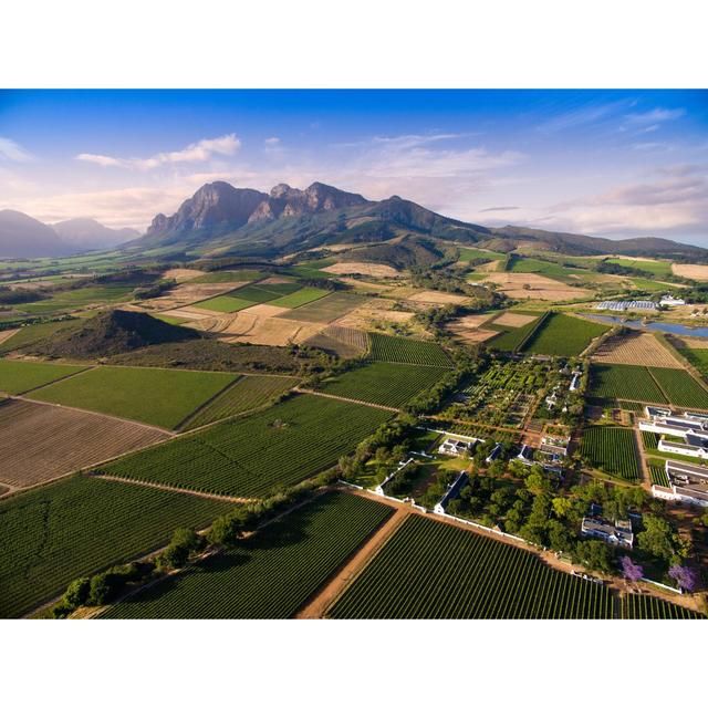 Babylonstoren Babel Red Blend 75cl - McGrocer