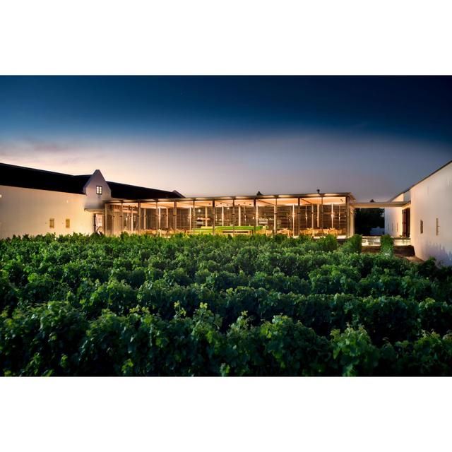 Babylonstoren Candide White Blend 75cl - McGrocer