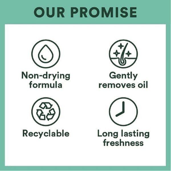 Batiste Blush 350Ml - McGrocer