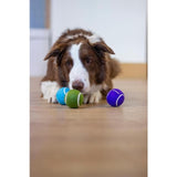 Battersea Tennis Balls - McGrocer