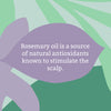 Faith In Nature Rosemary Shampoo 400ml - British product