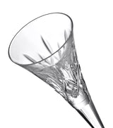 Crystal Toasting Flute Glasses Set of 2, 170ml Capacity