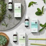 Superdrug Habitual Pure Peppermint Essential Oil 10ml GOODS Superdrug