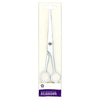 Superdrug Hairdressers Standard Scissors (British brand)