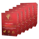 Beau-T-Full Tea Organic Tummy & Mind Tea Bags, 6 x 15 Pack - McGrocer