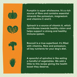 Beco Free Range Turkey with Pumpkin & Spinach Dry Food for Puppies 2kg - McGrocer