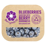 BerryWorld Blueberries 150g - McGrocer