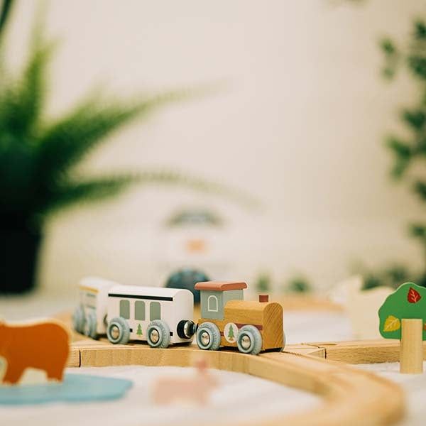 Bigjigs Toys Woodland Animal Train Set - McGrocer