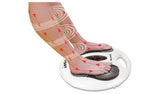 Bodi-Tek Circulation Plus Active Foot Massager - McGrocer
