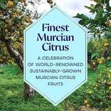 Bombay Sapphire Premier Cru Murcian Lemon Distilled London Dry Gin 70cl - McGrocer