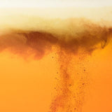 BrewDog Punk IPA 4 x 330ml