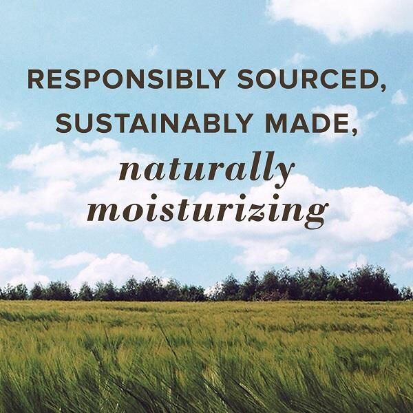 Burt's Bees® 100% Natural Origin Lip Balm Beeswax 4.25g