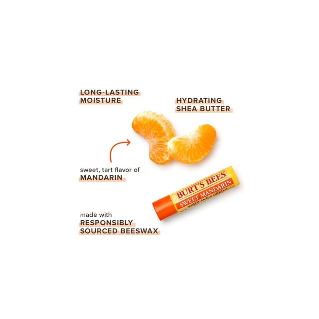 Burt's Bees Freshly Picked Lip Balm 4 x 4.25g