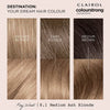 Clairol Permanent Hair Dye 8.1 Medium Ash Blonde - British product