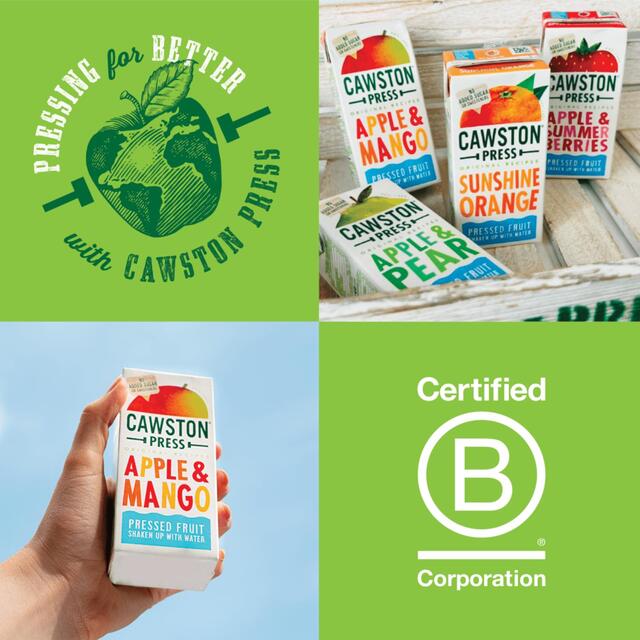 Cawston Press Kids Blend Apple & Mango Juice 3 x 200ml - McGrocer