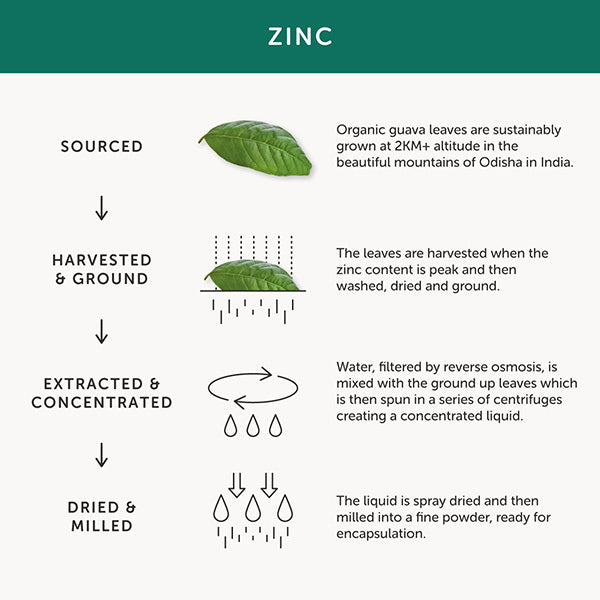 Together Health Zinc Supplement – Vegan – 30 Capsules GOODS Superdrug