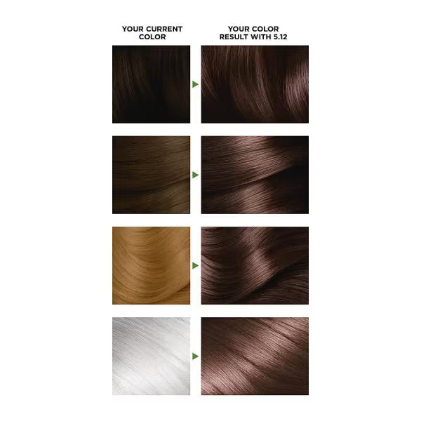 Garnier Nutrisse Glacial Brown permanent hair dye pack, UK version.