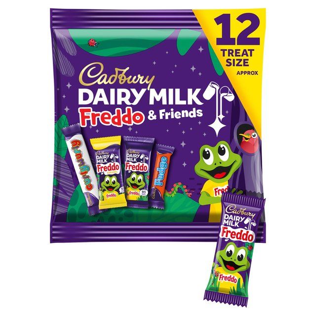 Cadbury Dairy Milk Freddo & Friends Chocolate Pouch 191g