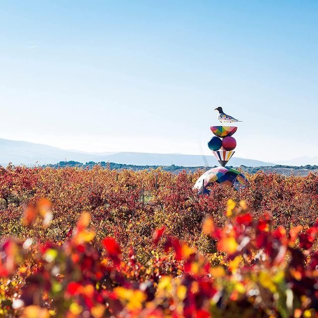 Campo Viejo Rioja Gran Reserva 75cl