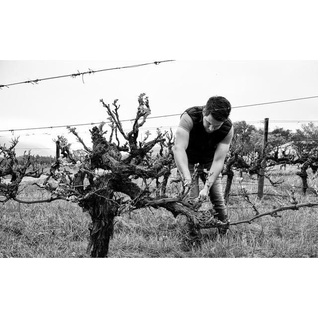 Capeography Seascape Coastal Malbec 75cl