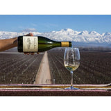 Catena Alta Chardonnay 2019 75cl