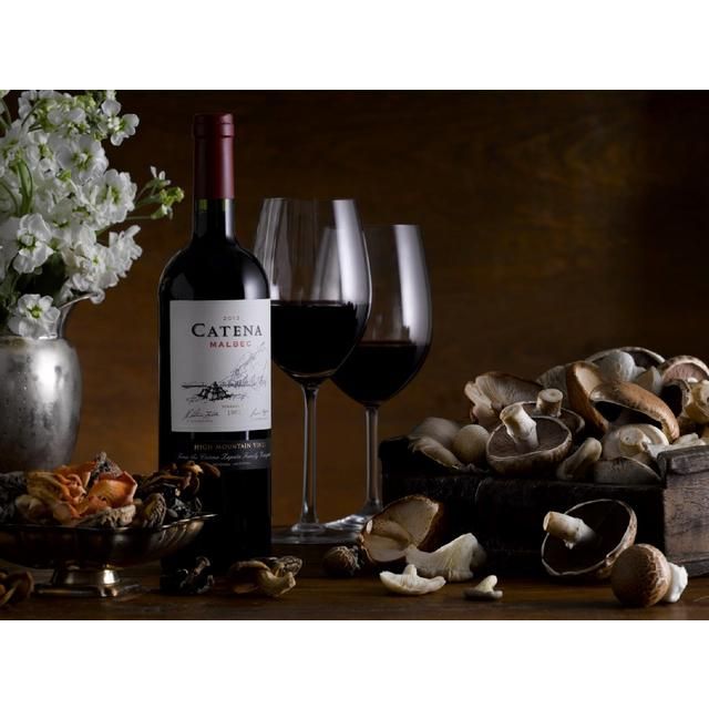 Catena Malbec 2019 75cl