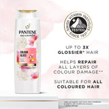 Pantene Miracles Colour Gloss Shampoo 400ml - McGrocer
