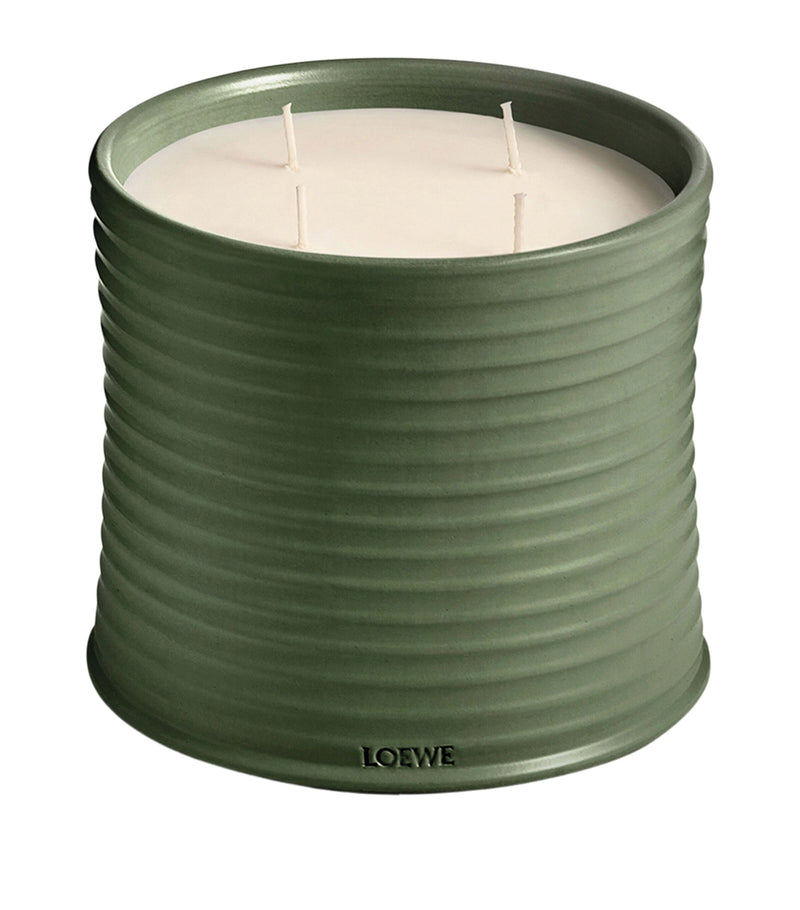 LOEWE Marihuana scented candle large, imported from the UK