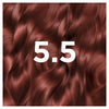 Garnier GOOD Permanent Hair Dye Auburn Hibiscus Brown 5.5, UK version