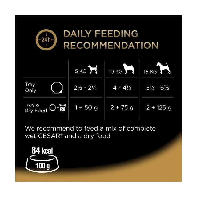 Cesar Country Stew Adult Wet Dog Food Trays Special Selection 8 x 150g