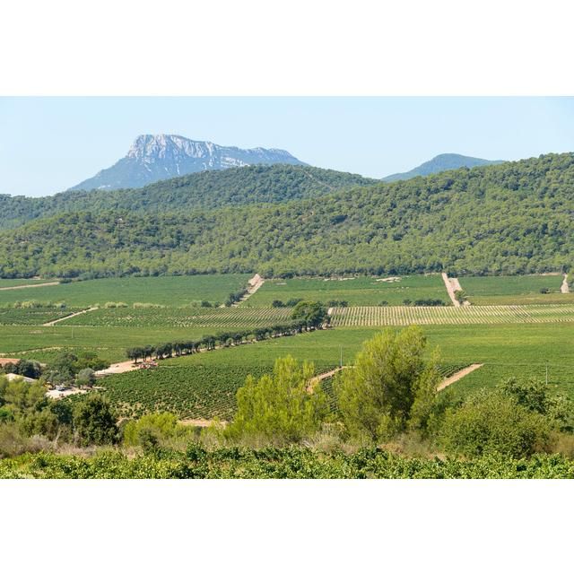 Chateau La Gordonne Rose VDT Cotes de Provence Magnum 1.5L