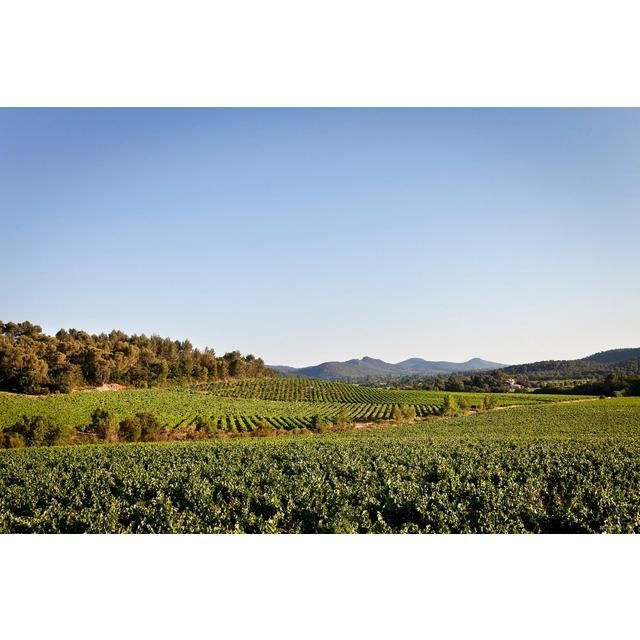 Chateau La Gordonne Rose VDT Cotes de Provence Magnum 1.5L