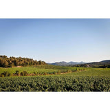 Chateau La Gordonne Rose VDT Cotes de Provence Magnum 1.5L