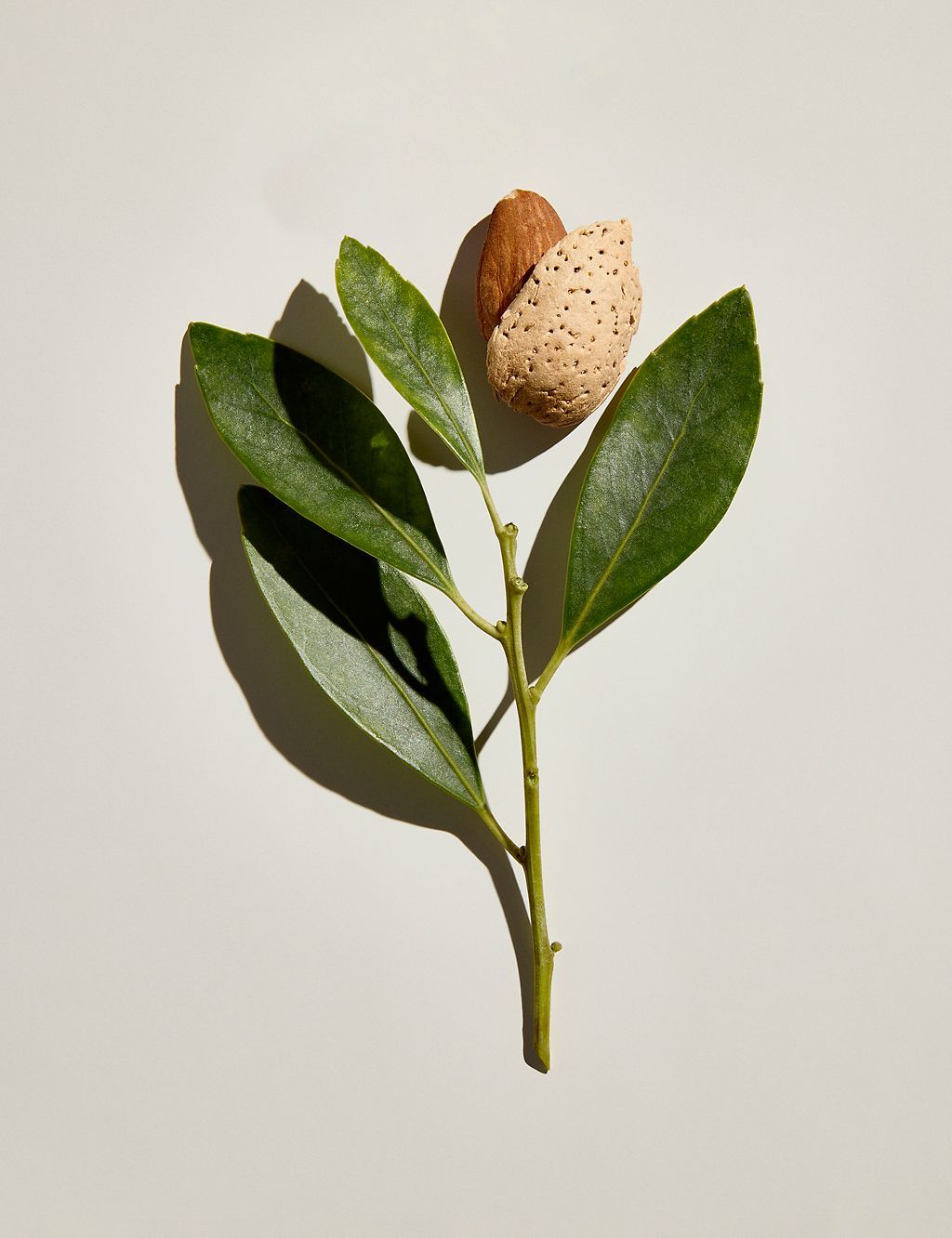 Checks And Balances™ Milk to Oil Cleanser + Makeup Melter 150ml