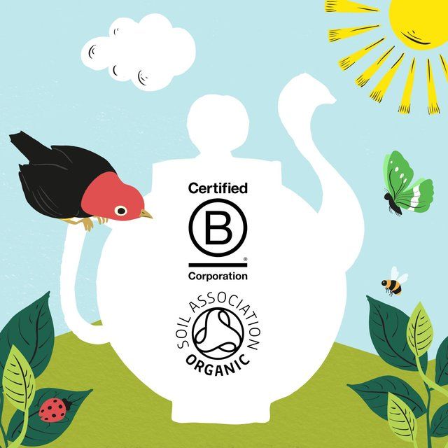 Clipper Organic & Fairtrade Green Tea 40 per pack